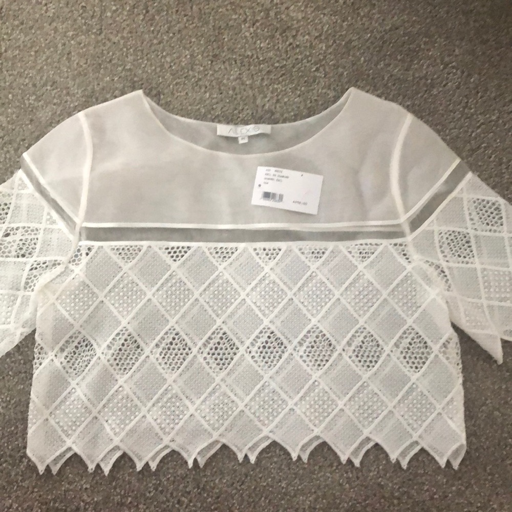 Sheer & lace crop top